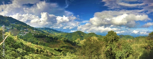 Mountains, Landscapes and Vineyards 