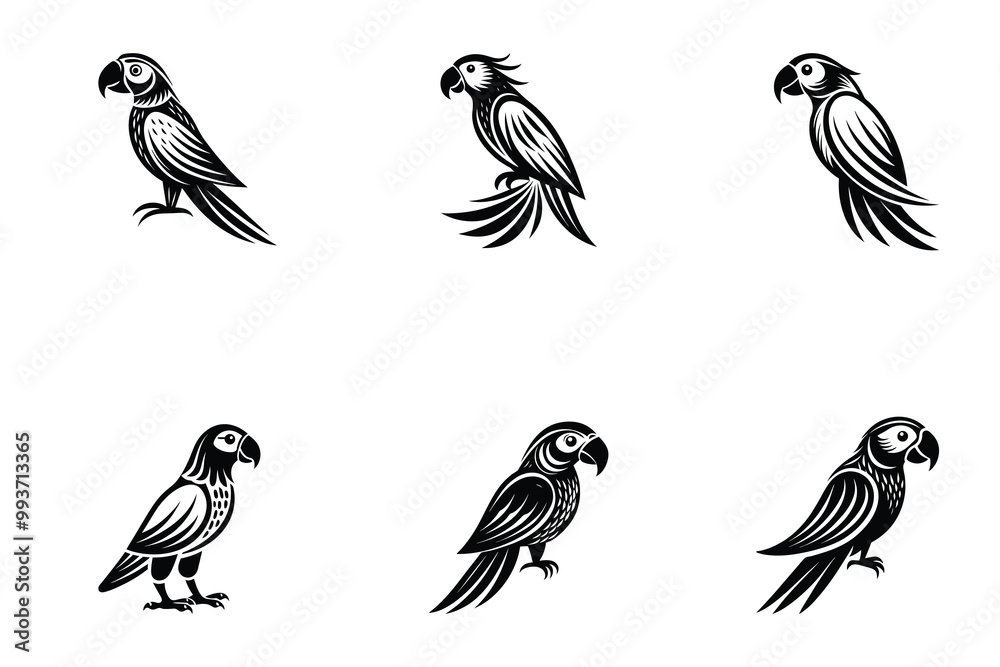 Obraz premium Vector Parrot Set. Set of Parrot logo icons Illustrations. silhouette black color vector art illustration