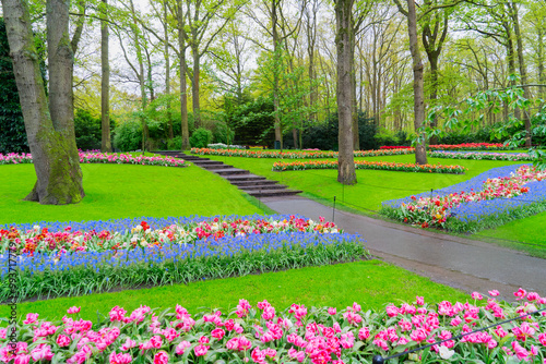 fresh lawn with flowers