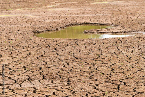 Принти на полотні A stark landscape of drought