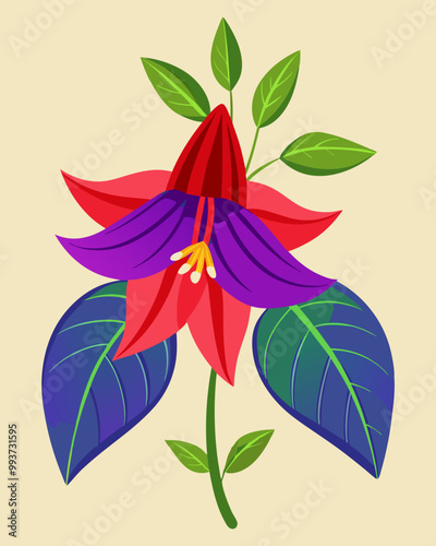 Copihue flower (Chilean Bellflower) illustration