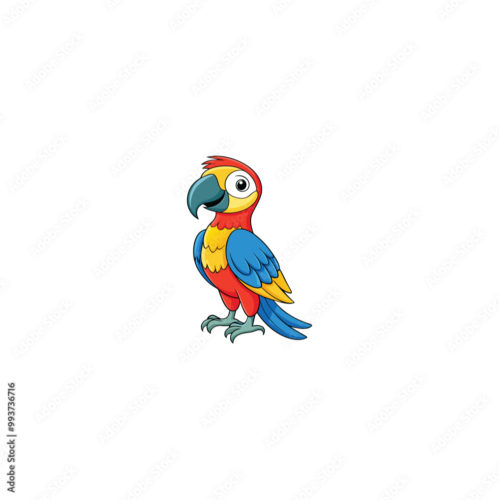 parrot isolated on white parrot isolated on white