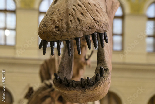 Fototapeta Naklejka Na Ścianę i Meble -  close-up of the skeleton of a dinosaur