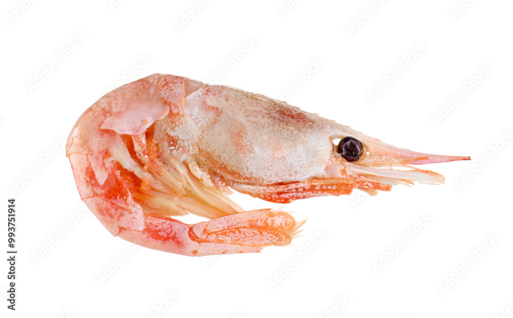 One raw shrimp isolated on white. Sea food One raw shrimp isolated on white. Sea food