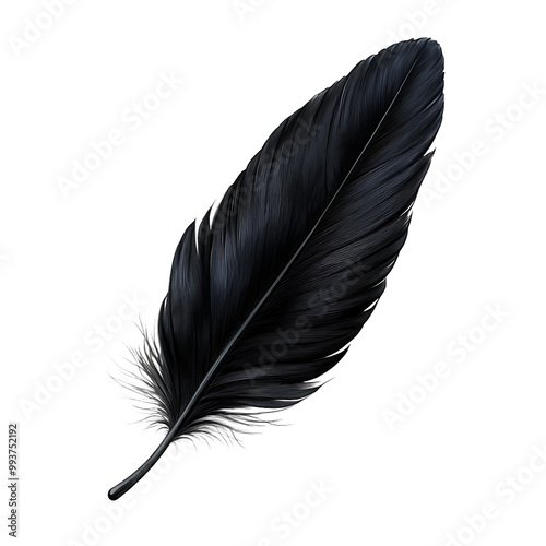 Black Feather Image, Feather Artwork, Black Feather Photo, Feather Photography, Detailed Feather Image, Realistic Black Feather