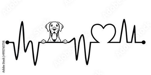Heartbeat line with Great Dane Dog Peeking, Dog and Heartbeat frequency with Heart Love Vector illustration

