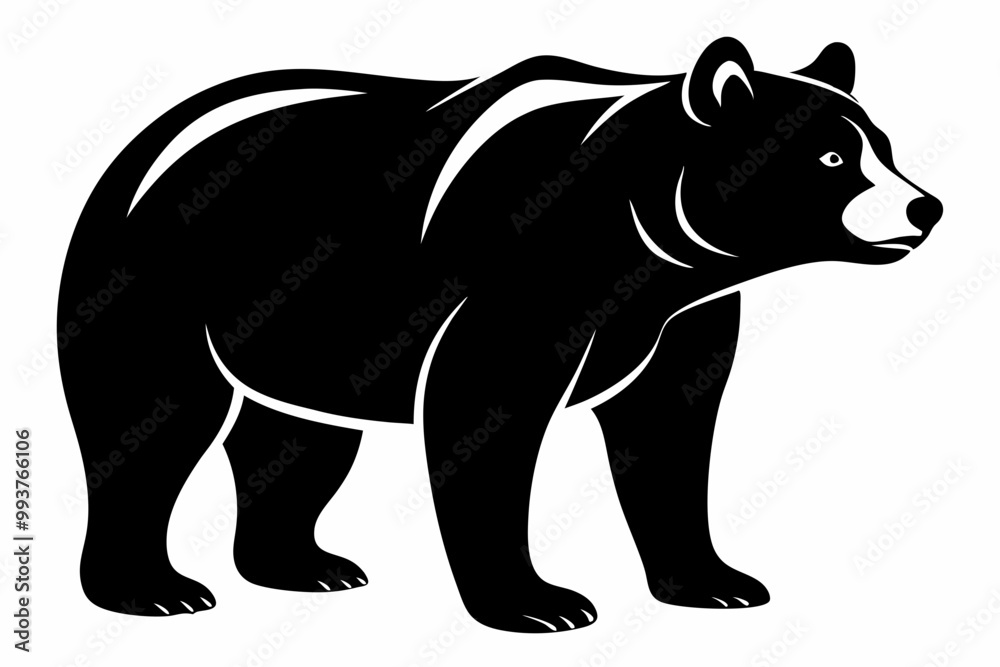 illustration of a bear illustration of a bear