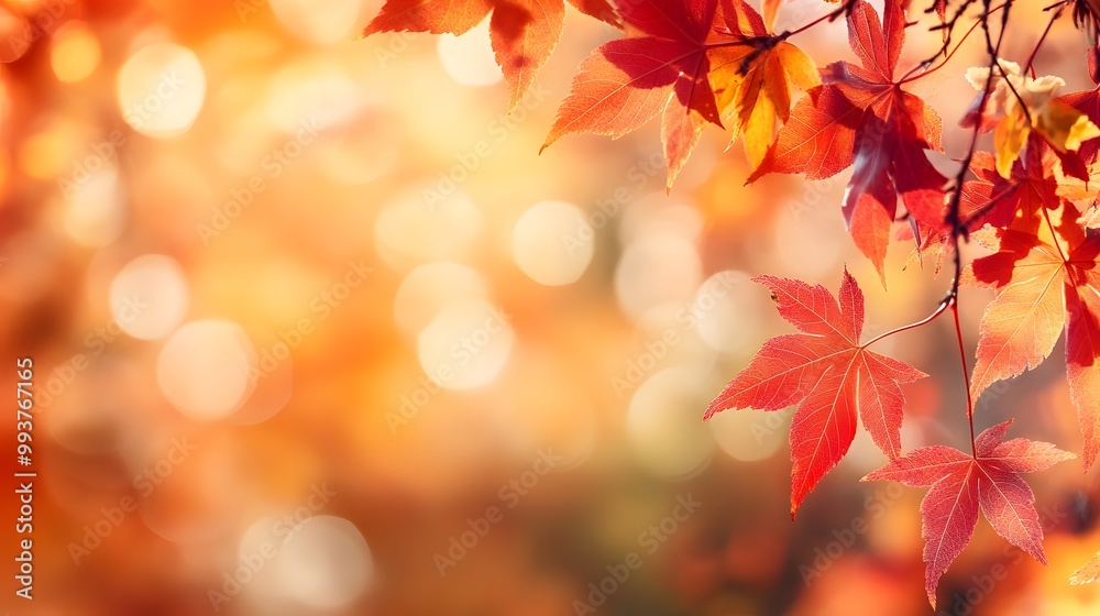 Autumn background with red and orange leaves and bokeh light effect. Autumn background with blurred nature scene Autumn background with red and orange leaves and bokeh light effect. Autumn background with blurred nature scene