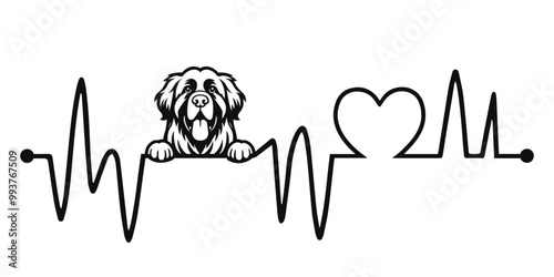 Heartbeat line with Leonberger Dog Peeking, Dog and Heartbeat frequency with Heart Love Vector illustration
