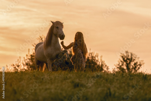 Romantic horsemanship portrait  A young woman and her icelandic horses interacting together in front of a beautiful sunrise landscape