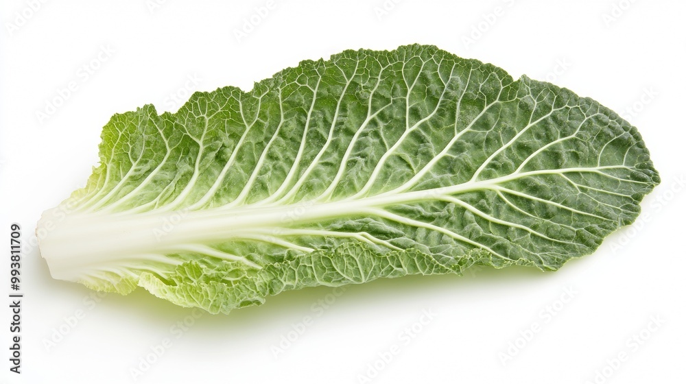 A single Chinese cabbage leaf, laying flat on a white background. A single Chinese cabbage leaf, laying flat on a white background.