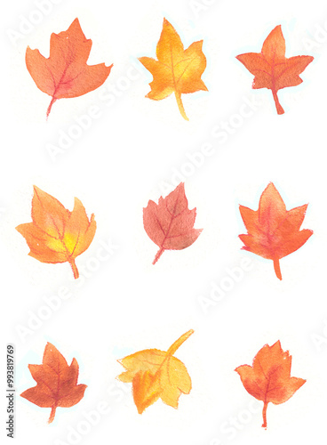 Watercolor illustration fall leaves orabge yellow red ornate 