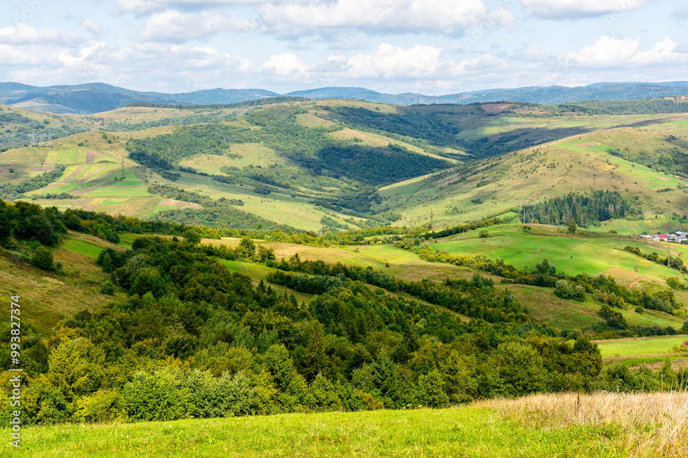 Fototapeta premium mountainous countryside landscape in autumn. green fields and trees on the hill. sunny day. view in to the distant valley. beautiful outdoor scenery of carpathians. rural region of ukraine
