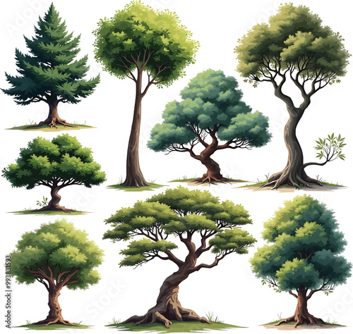  green trees Vector illustration for your design