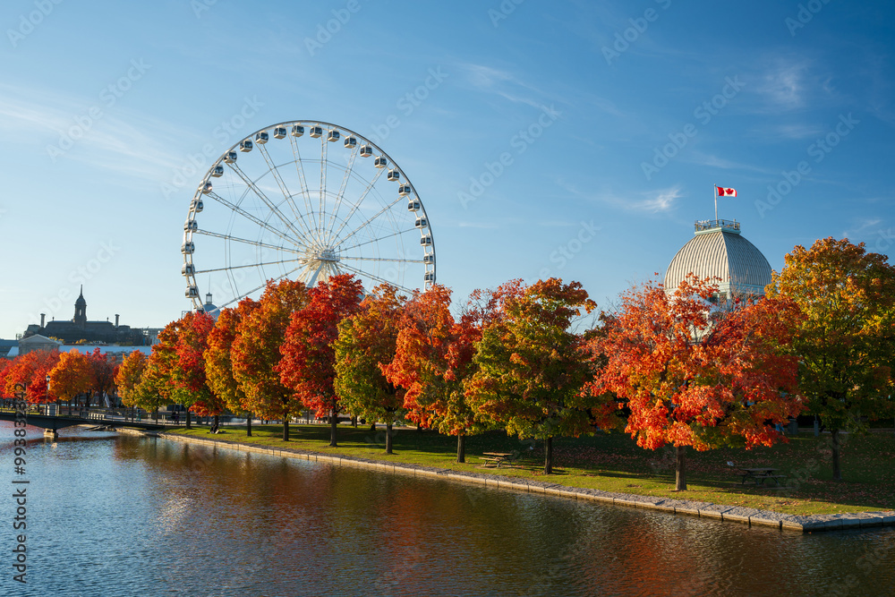 Obraz premium Old Port of Montreal in autumn. Red maples and old Montreal skyline reflected on St. Lawrence River. Fall foliage season in Montreal, Quebec, Canada. La Grande roue de Montreal Ferris wheel.