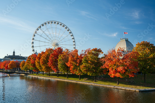 Old Port of Montreal in autumn. Red maples and old Montreal skyline reflected on St. Lawrence River. Fall foliage season in Montreal, Quebec, Canada. La Grande roue de Montreal Ferris wheel.