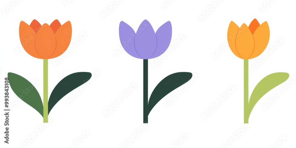 Fototapeta premium Three Colorful Flowers on a Clean White Background