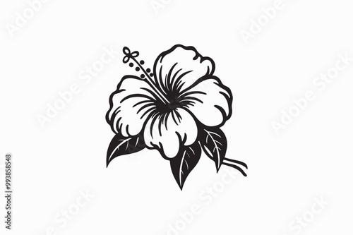 A vector Hibiscus Flower silhouette image adobe illustrator..eps