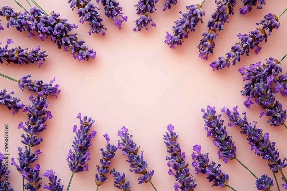 Lavender Flowers Arranged in a Circular Frame on a Light Pink Background