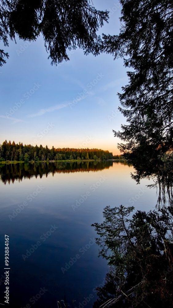 Nature reserve Pláničský pond in Černá v Pošumaví in the evening. The calm water mirrors the surrounding trees and sky. A bench and a small boat are visible by the shore. Nature reserve Pláničský pond in Černá v Pošumaví in the evening. The calm water mirrors the surrounding trees and sky. A bench and a small boat are visible by the shore.