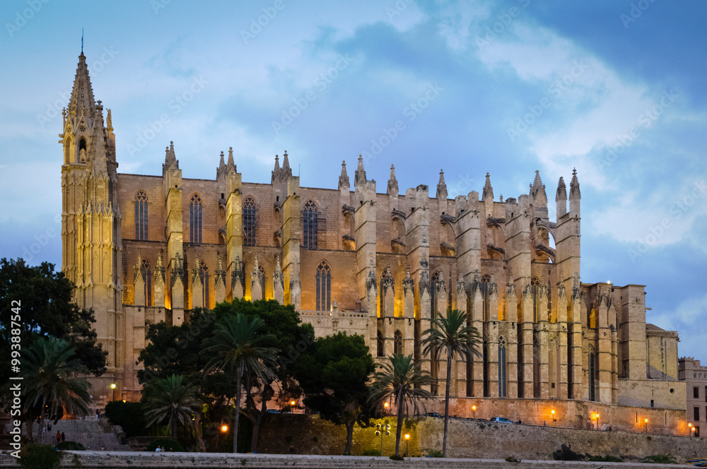 Fototapeta premium La Seu, Kathedrale von Palma, Mallorca