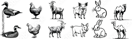 set of livestock vector illustration logo designs