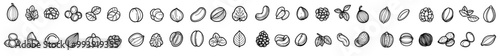 The nuts and seeds editable stroke outline icons set isolated on white background is pixel-perfect. The size is 64 x 64.