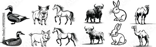 set of livestock vector illustration logo designs