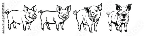 set of pig vector illustration logo design 