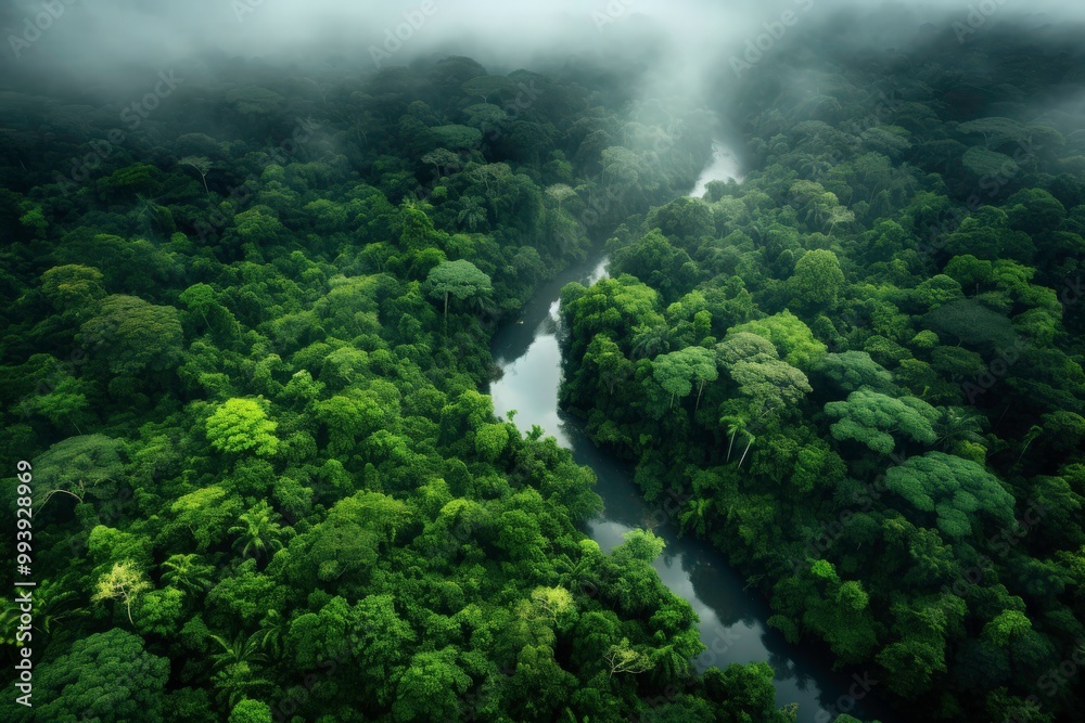 Thick fog shrouds the trees in a lush green forest. The fog gives the forest a mysterious and serene atmosphere. Generative AI