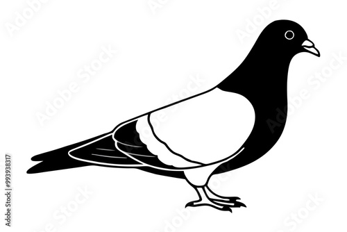 silhouette vector,Pigeons are symbolic of fertility and prosperity