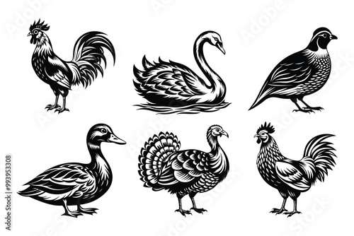 fowl bird silhouette bundle set in vector style clip art with white background