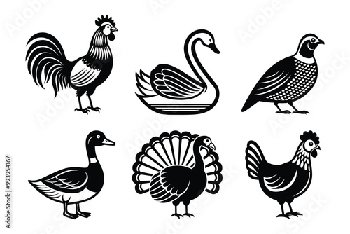 fowl bird silhouette bundle set in vector style clip art with white background