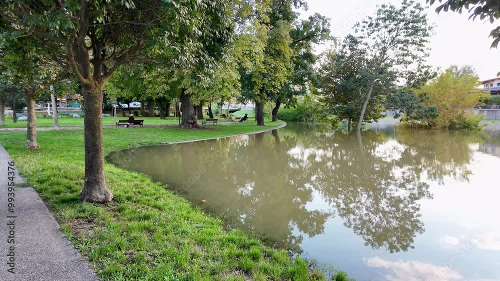 Flooded park next to the river Rába in Győr Hungary Flooded park next to the river Rába in Győr Hungary