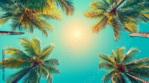 View up at palm trees framing blue sky, sunlight filtering through leaves, tropical vibe.
