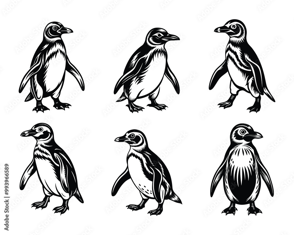 Naklejka premium Penguin silhouette design in vector style with a white background