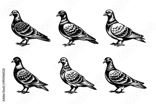 Pigeon silhouette design bundle set in creative vector clip art with a white background