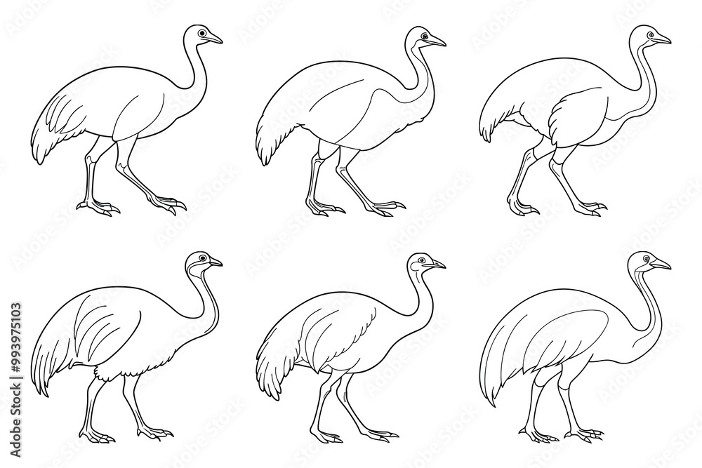 Fototapeta premium Cassowary silhouette design bundle set in creative vector clip art with a white background