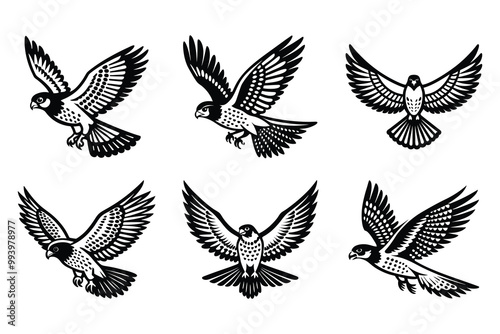 Vector clip art style falcon flying silhouette bundle set with white background