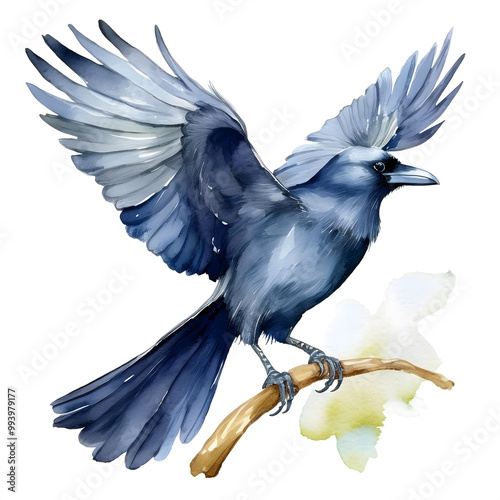 Halloween-autumn vibe themed watercolor clipart hand drawing ideas, Raven – Perched on a branch or flying