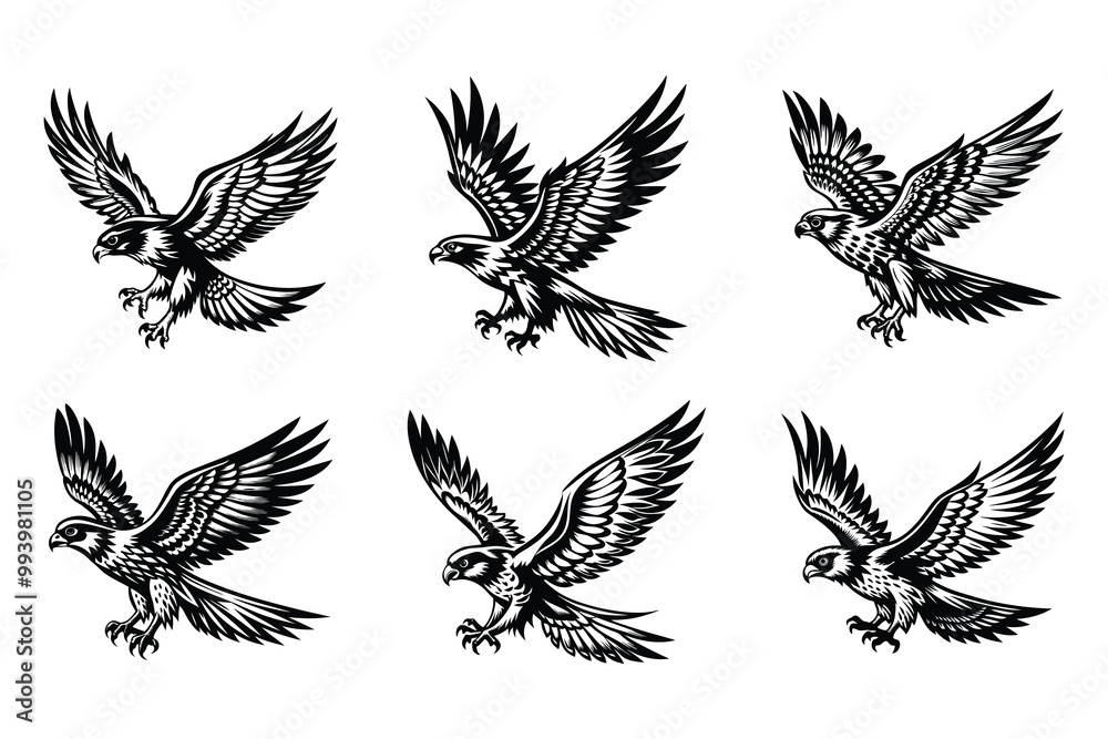 Fototapeta premium Vector clip art style falcon flying silhouette bundle set with white background