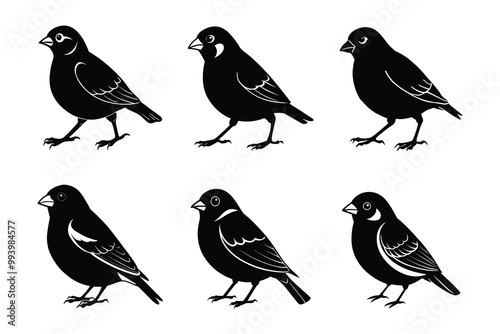 Finch silhouette bundle set in vector style clip art with white background