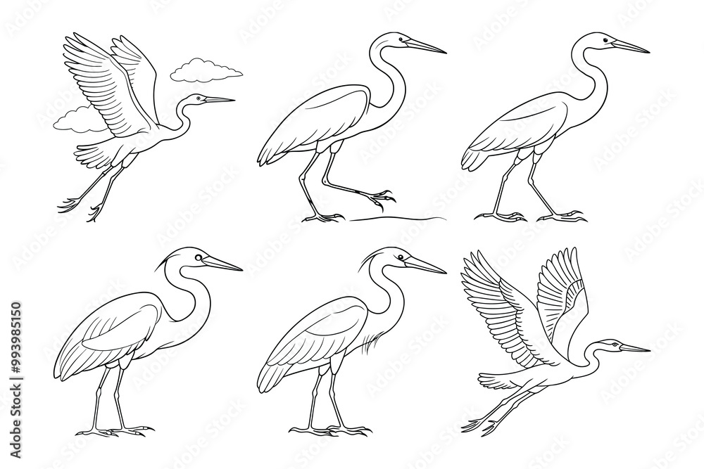 Fototapeta premium Vector clip art style heron silhouette bundle set with white background