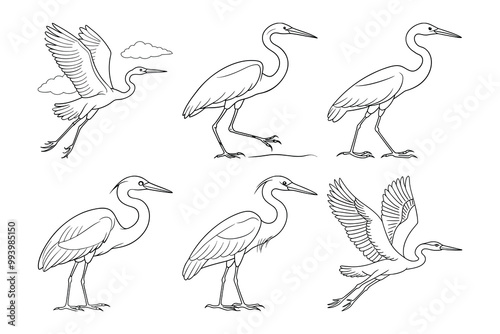 Vector clip art style heron silhouette bundle set with white background