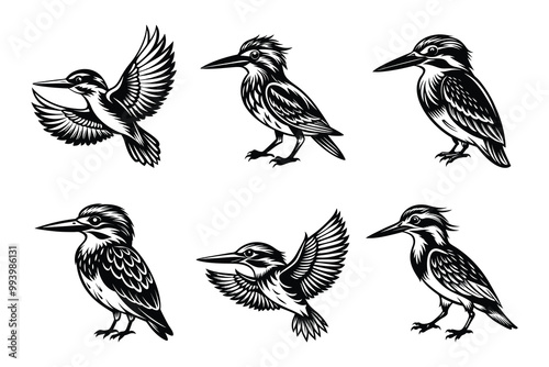 Kingfisher silhouette design in vector style with a white background