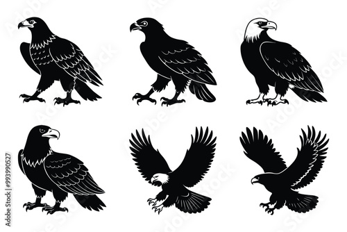 Eagle silhouette design in vector style with a white background