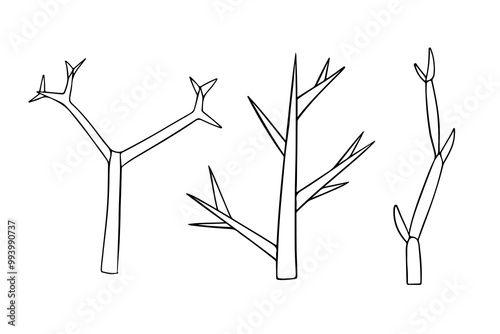 Vector isolated illustration of shoot branching types on white background. photo