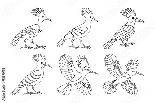 Eurasian hoopoe silhouette bundle set in vector style clip art with white background