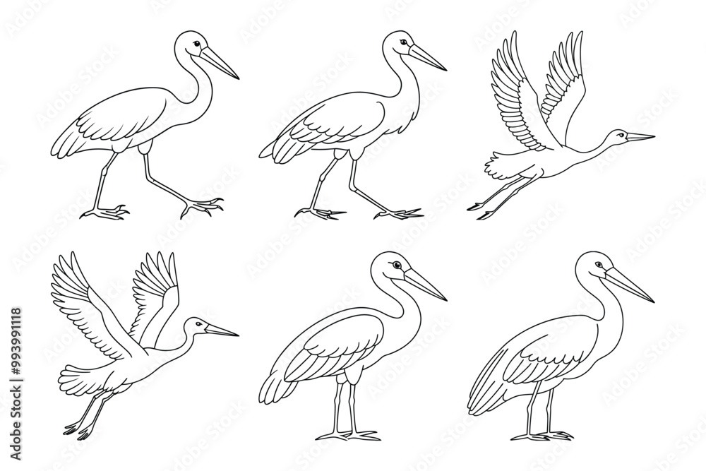 Obraz premium Stork silhouette bundle set in vector style clip art with white background