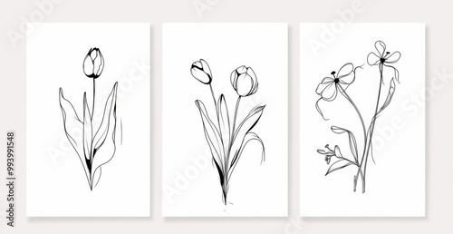  Three black and white line art tulips framed and displayed on a wall. 